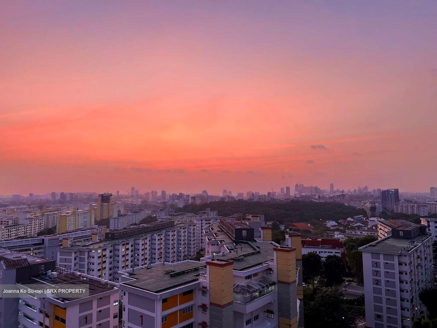 The Panorama (D20), Condominium #502742841